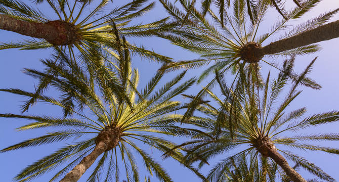 ¿A QUÉ NOS REFERIMOS CUANDO HABLAMOS DE "EL MEJOR CLIMA DEL MUNDO"?  - Img. Mobile