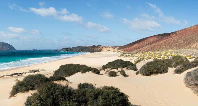 ASÍ NACIÓ LA OCTAVA ISLA - Img. Mobile ASÍ NACIÓ LA OCTAVA ISLA - Img. Mobile