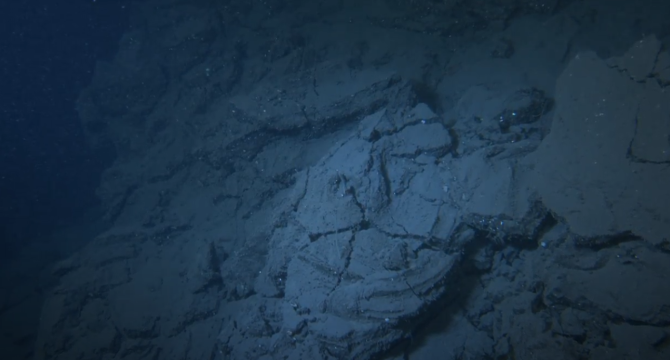 EL FONDO MARINO DEL DELTA DE LAVA DE LA PALMA SE RECUPERA EN TIEMPO RECORD  - Img. Full