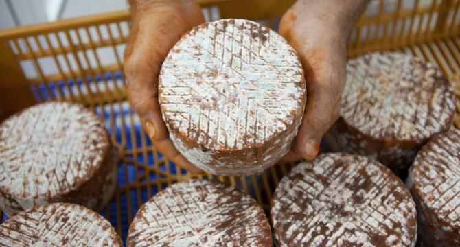EL SABOR ÚNICO DE LAS ISLAS CANARIAS - Img. Full