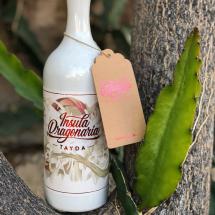 BEBIDAS ÚNICAS CON PRODUCTOS DE LAS ISLAS CANARIAS  - Img. Square