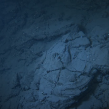 EL FONDO MARINO DEL DELTA DE LAVA DE LA PALMA SE RECUPERA EN TIEMPO RECORD  - Img. Square