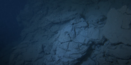 EL FONDO MARINO DEL DELTA DE LAVA DE LA PALMA SE RECUPERA EN TIEMPO RECORD  - Img. Half