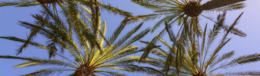 ¿A QUÉ NOS REFERIMOS CUANDO HABLAMOS DE "EL MEJOR CLIMA DEL MUNDO"?  - Img. Desktop