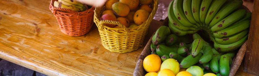 ¿CÓMO MANTENER UNA DIETA SALUDABLE EN VACACIONES? - Img. Desktop