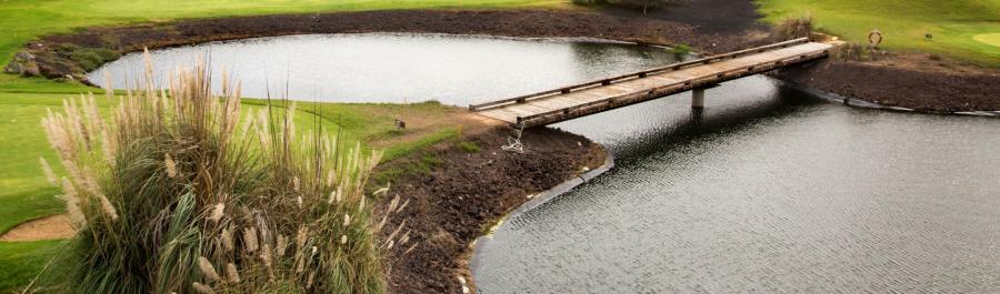 POR QUÉ LOS CAMPOS DE GOLF DE FUERTEVENTURA SON DE ENSUEÑO - Img. Desktop POR QUÉ LOS CAMPOS DE GOLF DE FUERTEVENTURA SON DE ENSUEÑO - Img. Desktop