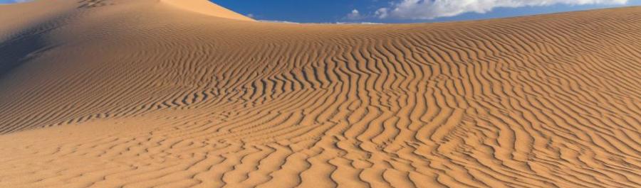 CAMINO DE SANTIAGO ENTRE VOLCANES EN LAS ISLAS CANARIAS: DE LAS DUNAS A GÁLDAR - Img. Desktop
