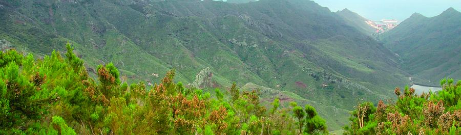 BAÑOS DE BOSQUE ÚNICOS EN CANARIAS - Img. Desktop BAÑOS DE BOSQUE ÚNICOS EN CANARIAS - Img. Desktop