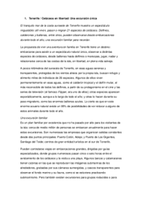 Tenerife-Avistamiento cetáceos