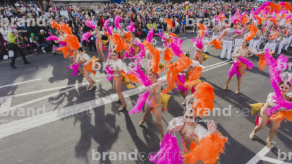 Carnaval de Santa Cruz de Tenerife