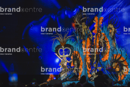 Carnaval de Santa Cruz de Tenerife