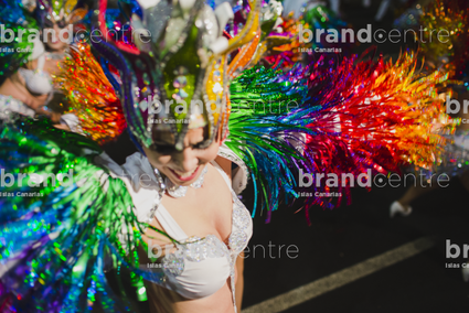 Carnaval de Santa Cruz de Tenerife