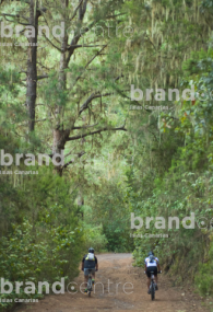 Paseo en bicicleta