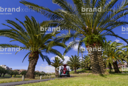 Sheraton Salobre Golf, Gran Canaria