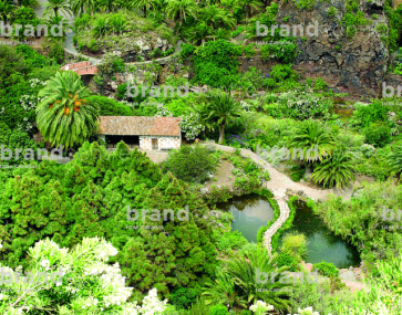Jardín Canario