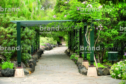 Jardín Canario