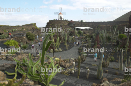Jardín de Cactus