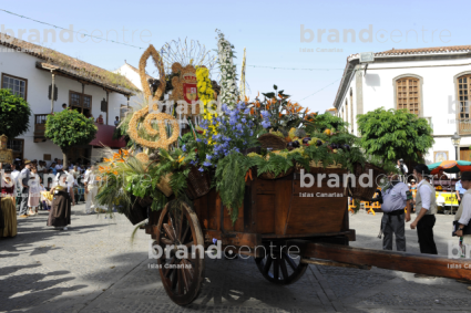 Carreta de Romería en Teror