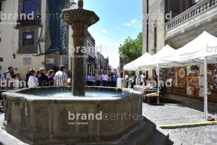 Plaza del Pilar New