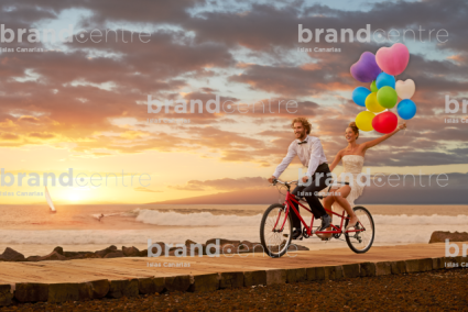 Bicycle wedding