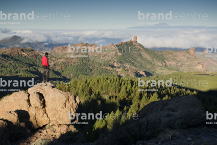 Roque Nublo
