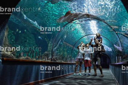 Loro Parque