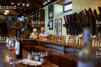 Museo del vino