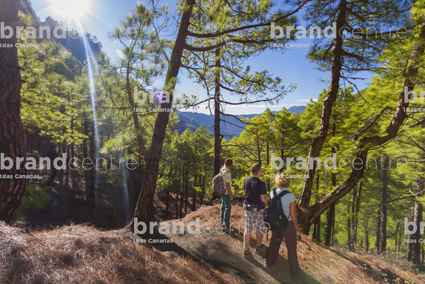 Parque Nacional de La Caldera de Taburiente