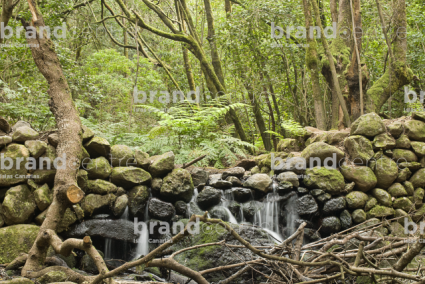 Sendero Contadero-El Cedro