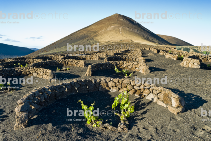 La Geria Trail, Lanzarote