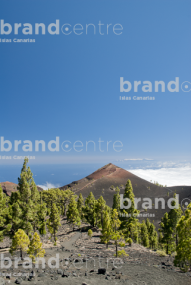Path Routes of the Volcanoes, La Palma