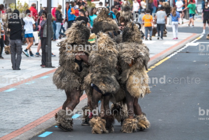 Los Carneros de Tigaday