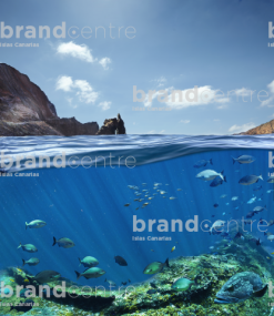 Buceo en El Hierro ( Montaje ilustrativo)