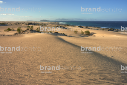 Dunes of Corralejo