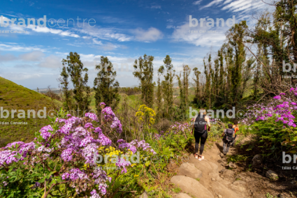 Hike near Fontanales