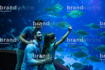 Acuario Poema del Mar