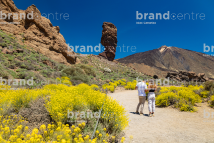 The Cañadas del Teide