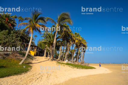 Leeward