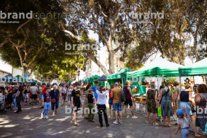 Handicraft Market