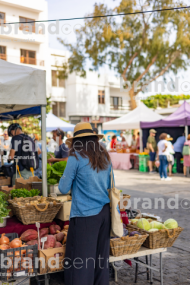 Reef Market
