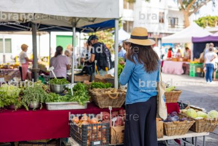 Reef Market