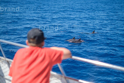 Iniciativas Medioambientales_Ocean Explorer_La Palma