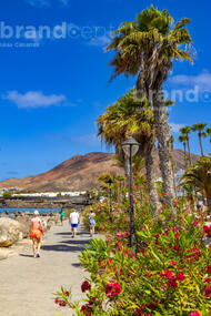 Playa Blanca