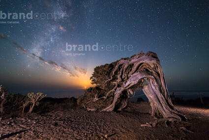 Sabinas y puesta de luna - El Hierro
