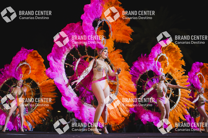 Carnaval de Santa Cruz de Tenerife