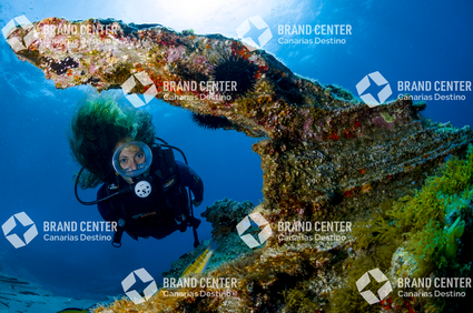 Fondo Submarino. Montaña Amarilla