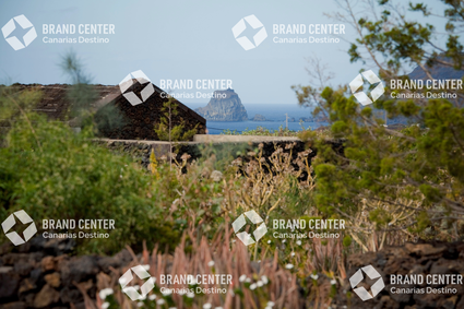 Ecomuseo de Guinea y Lagartario