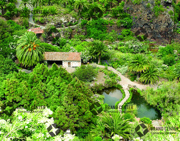 Jardín Canario