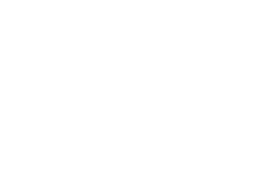 Logo El Hierro FR (ai)