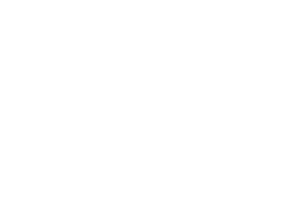 Logo El Hierro FI (ai)